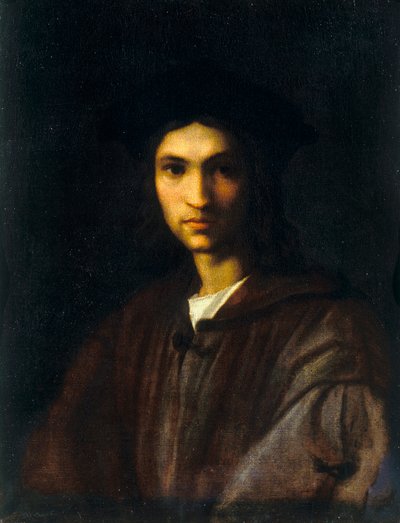 Young Self-Portrait of Andrea del Sarto by Andrea del Sarto